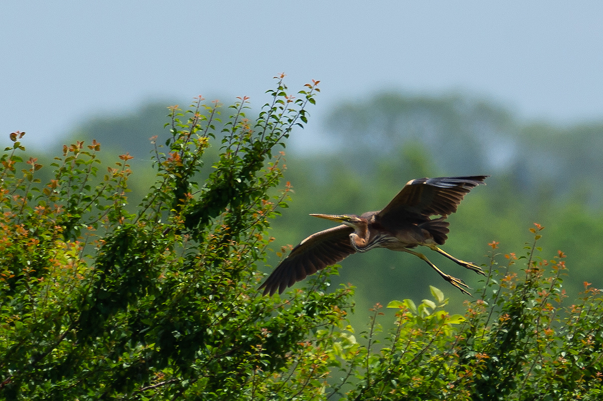 Landeanflug