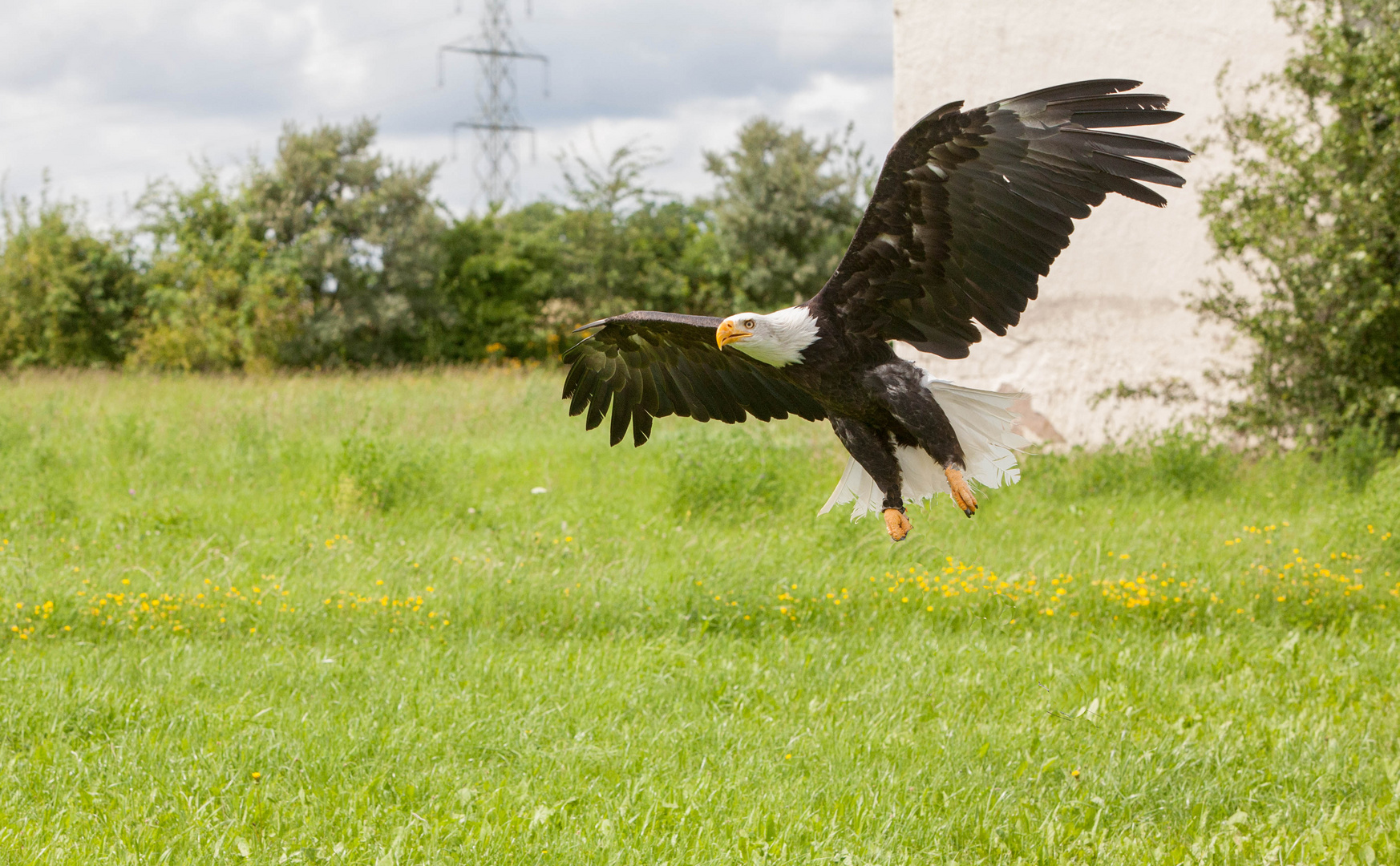 Landeanflug