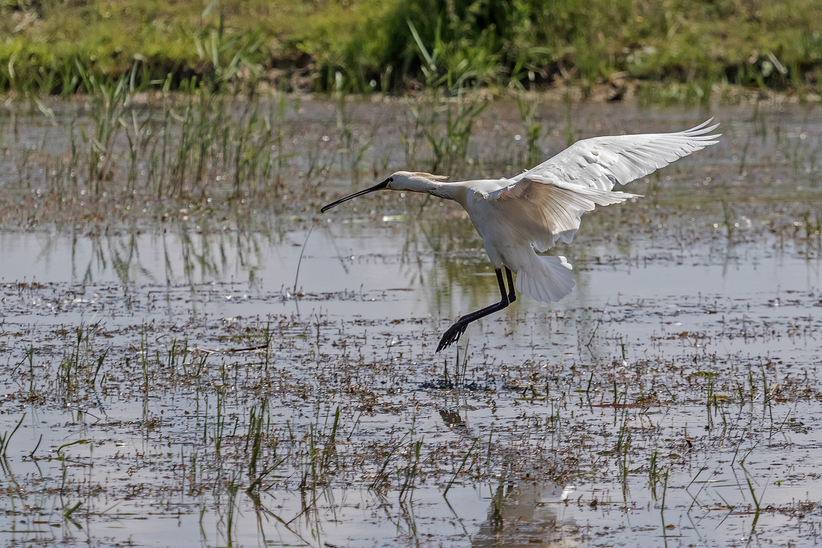 Landeanflug