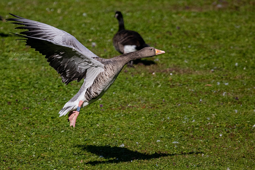 Landeanflug ...