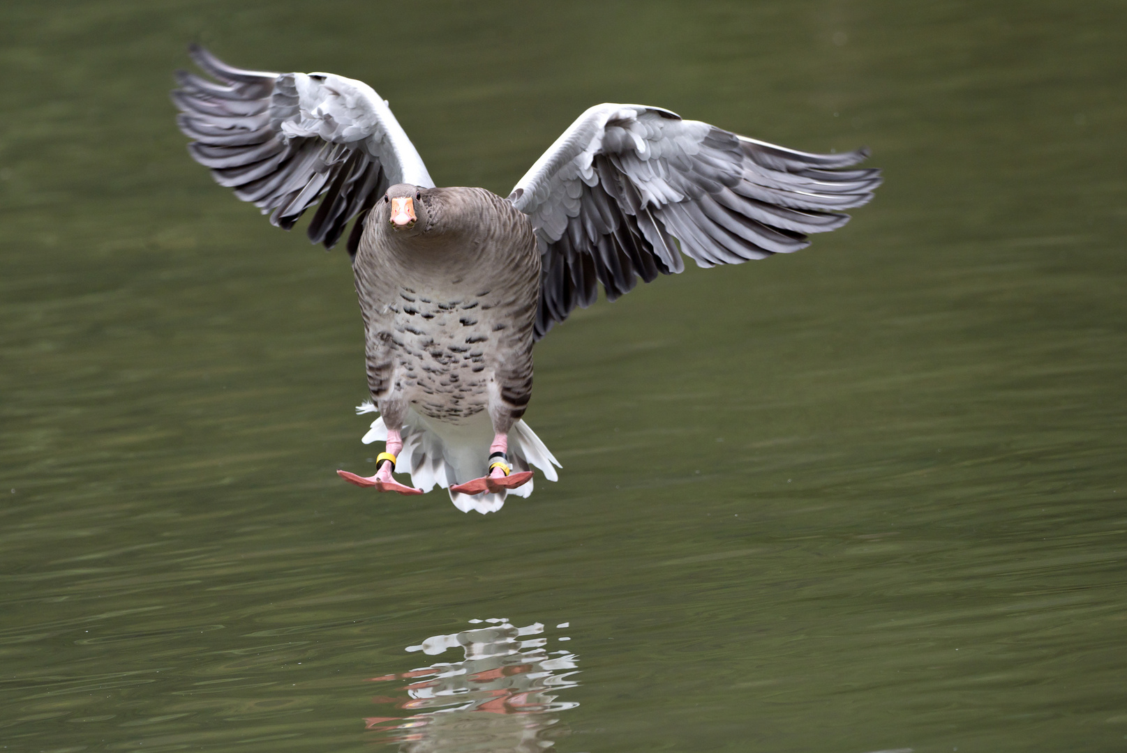 Landeanflug