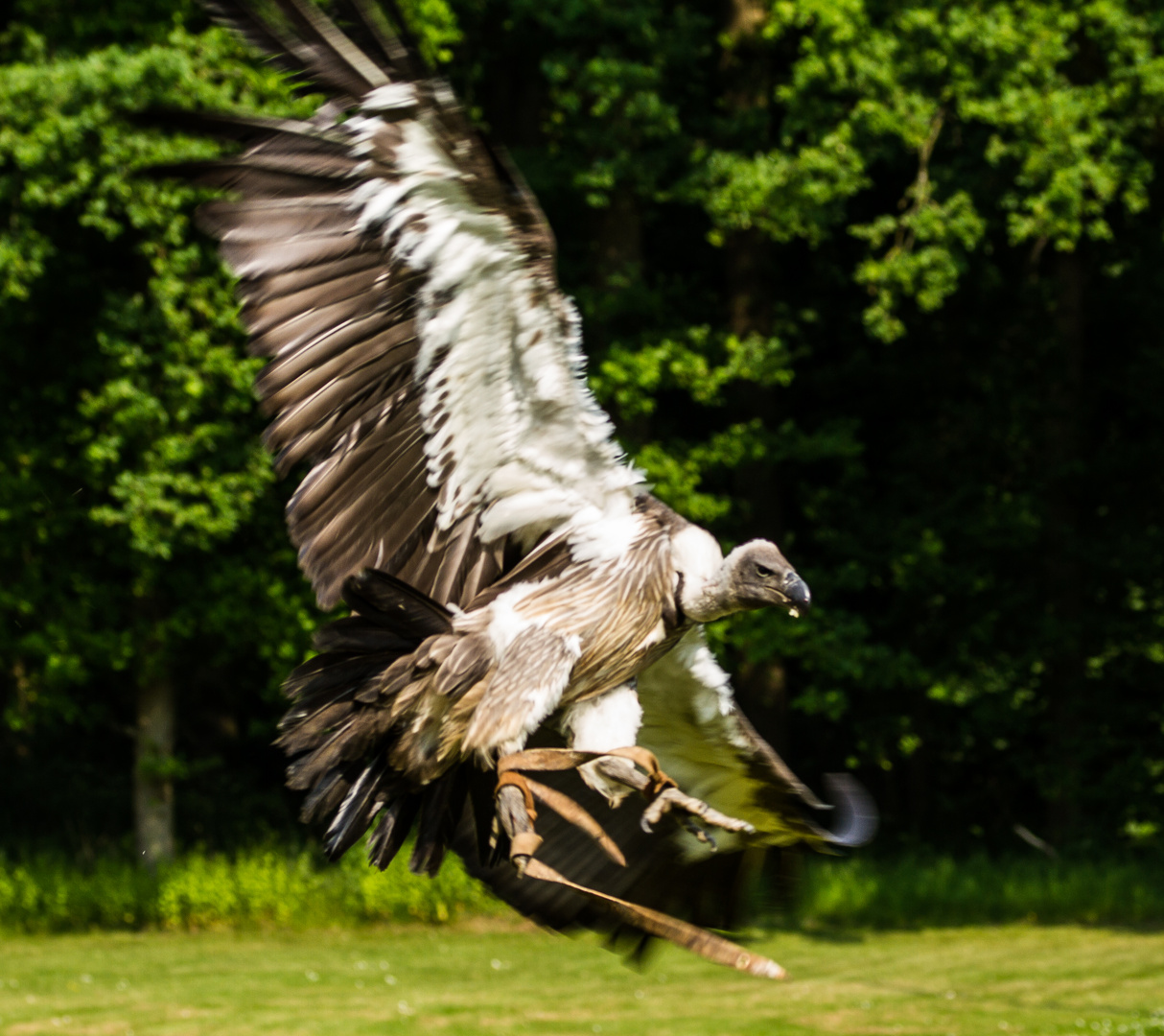 Landeanflug