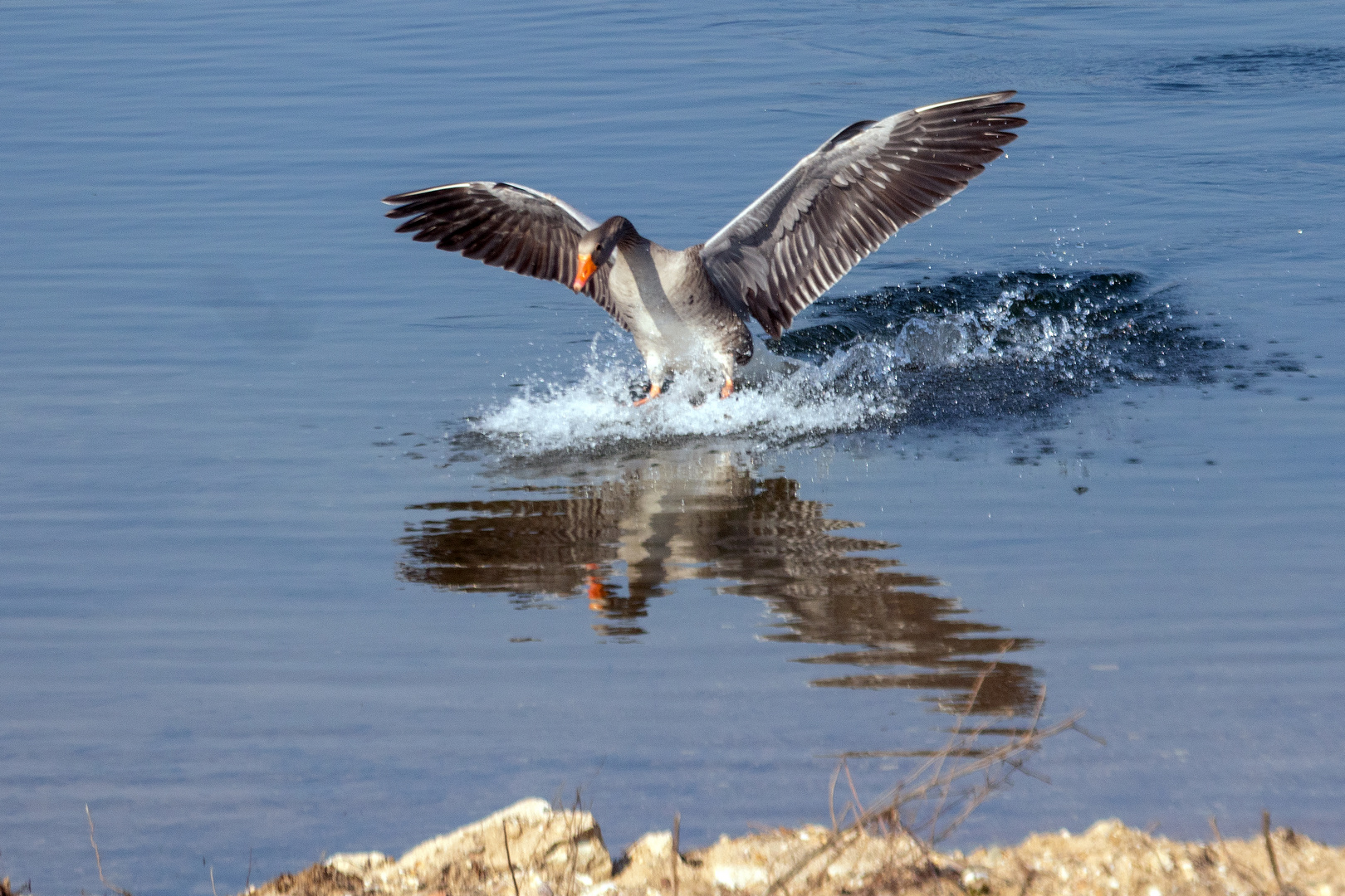 Landeanflug