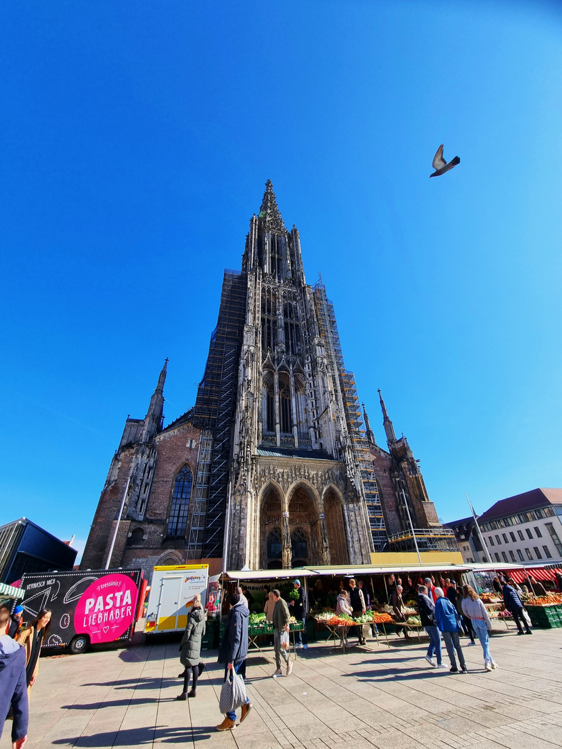 "Landeanflug am Münsterplatz"