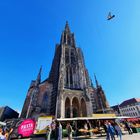 "Landeanflug am Münsterplatz"