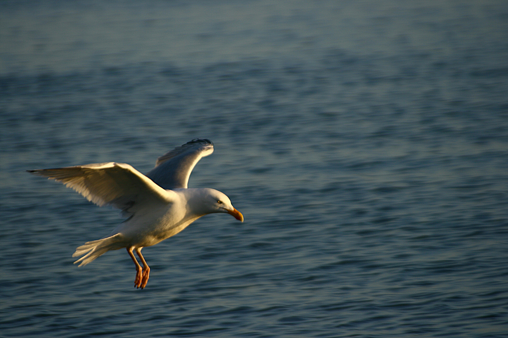 Landeanflug auf Borkum