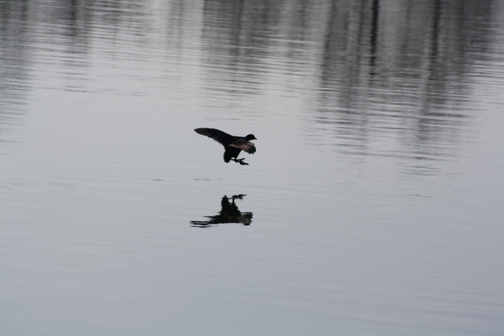 Landeanflug auf dem Kanal