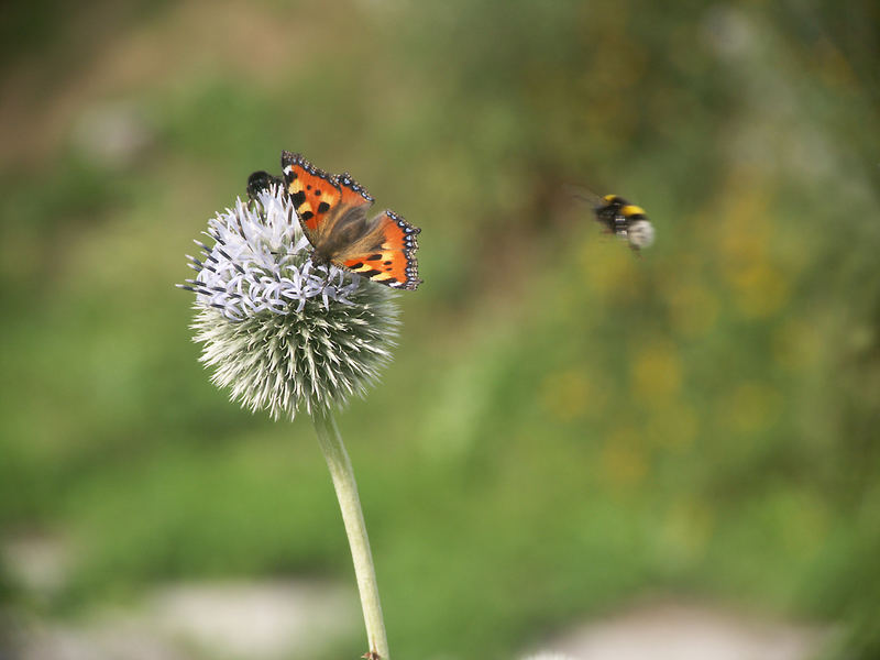 Landeanflug auf die Kugelwelt