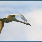 Landeanflug auf die Lahn