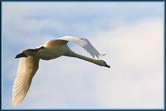 Landeanflug auf die Lahn