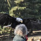 Landeanflug auf einen Snack!