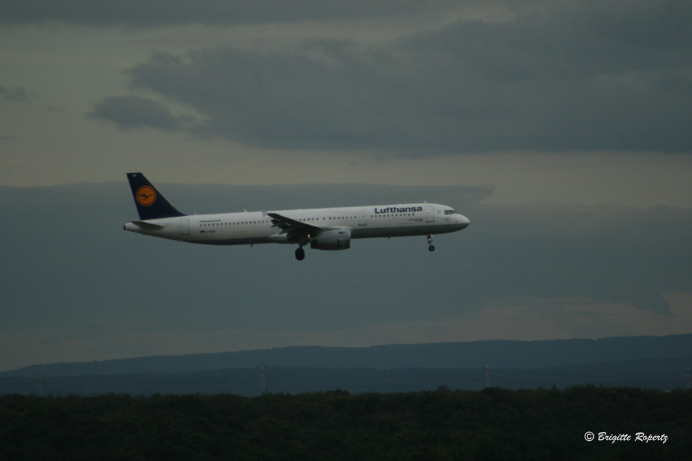 Landeanflug auf Frankfurt Airport - 2