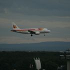 Landeanflug auf Frankfurt Airport - 4