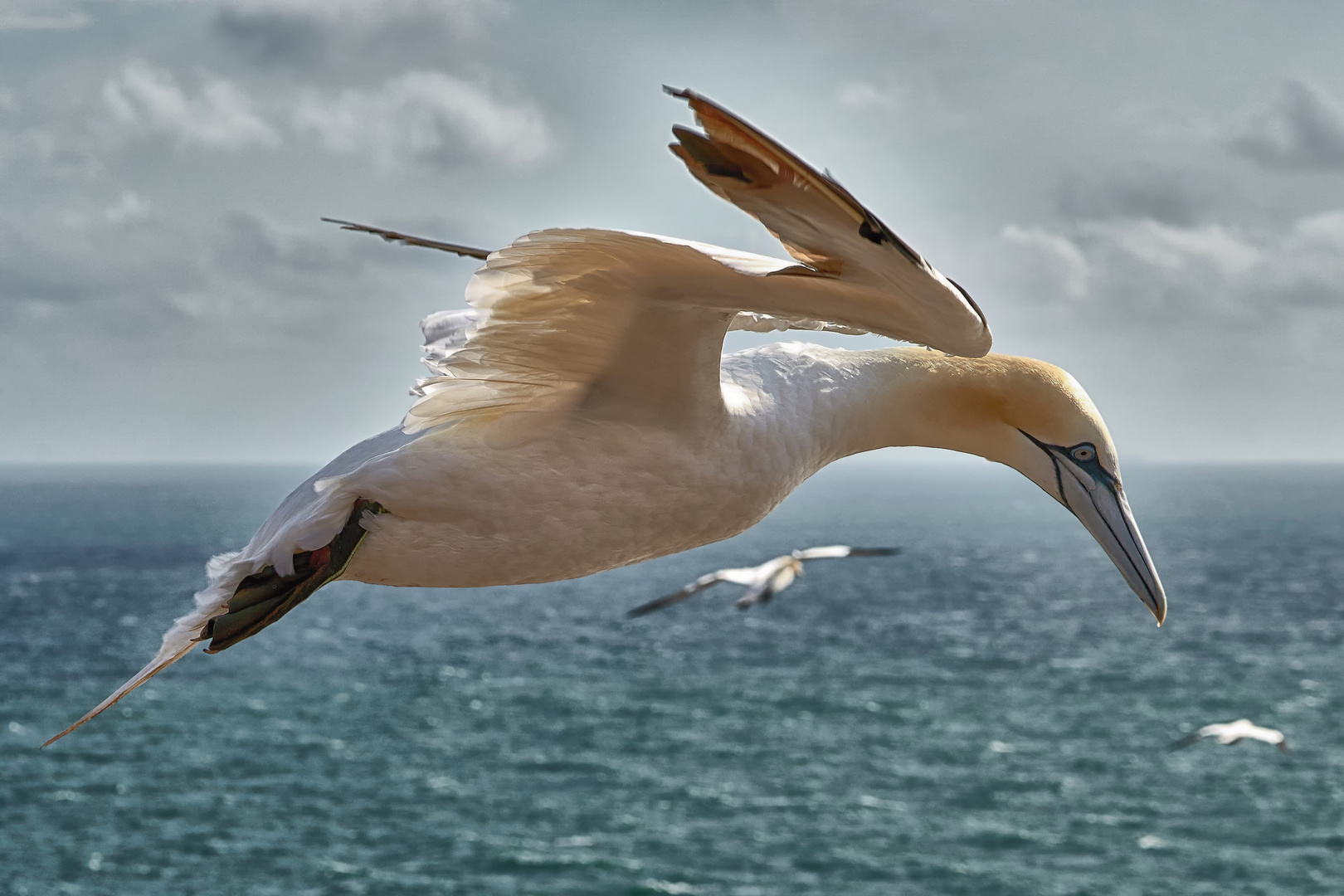 Landeanflug auf Helgoland