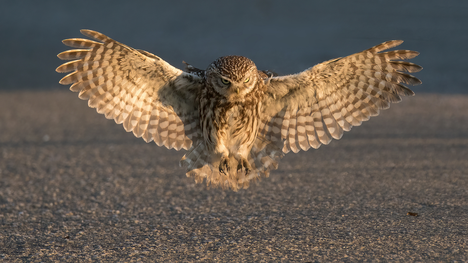 Landeanflug auf Road-Airport