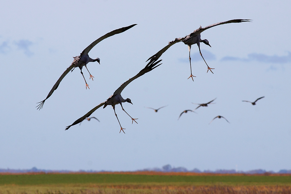 Landeanflug