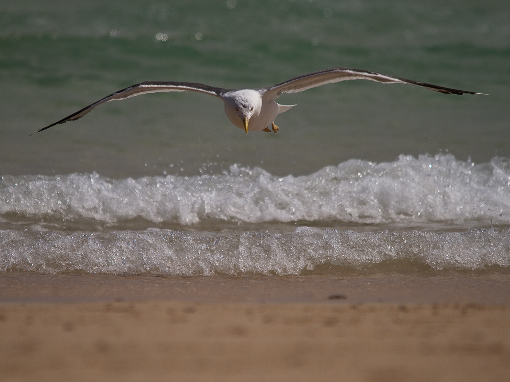 Landeanflug