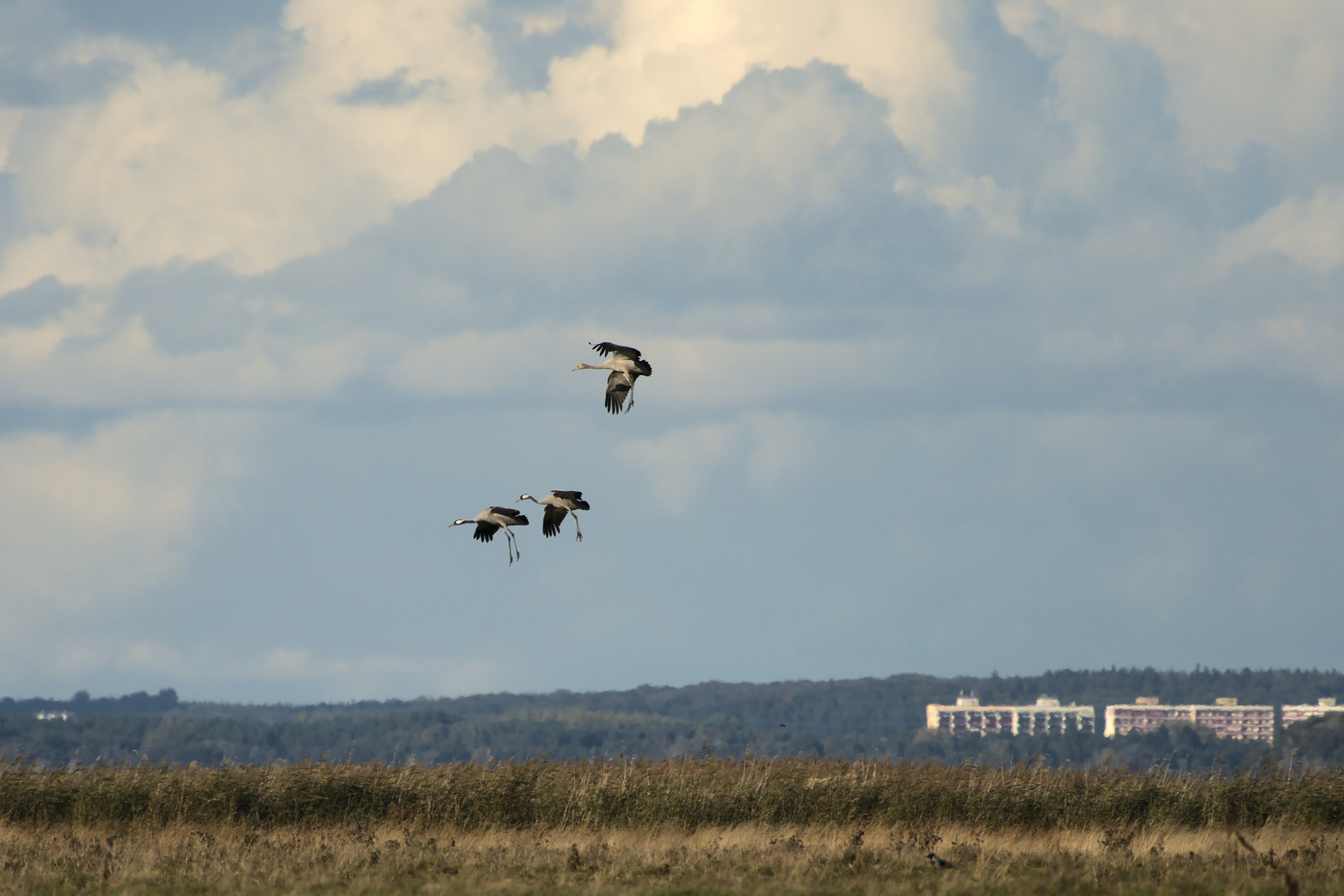 Landeanflug