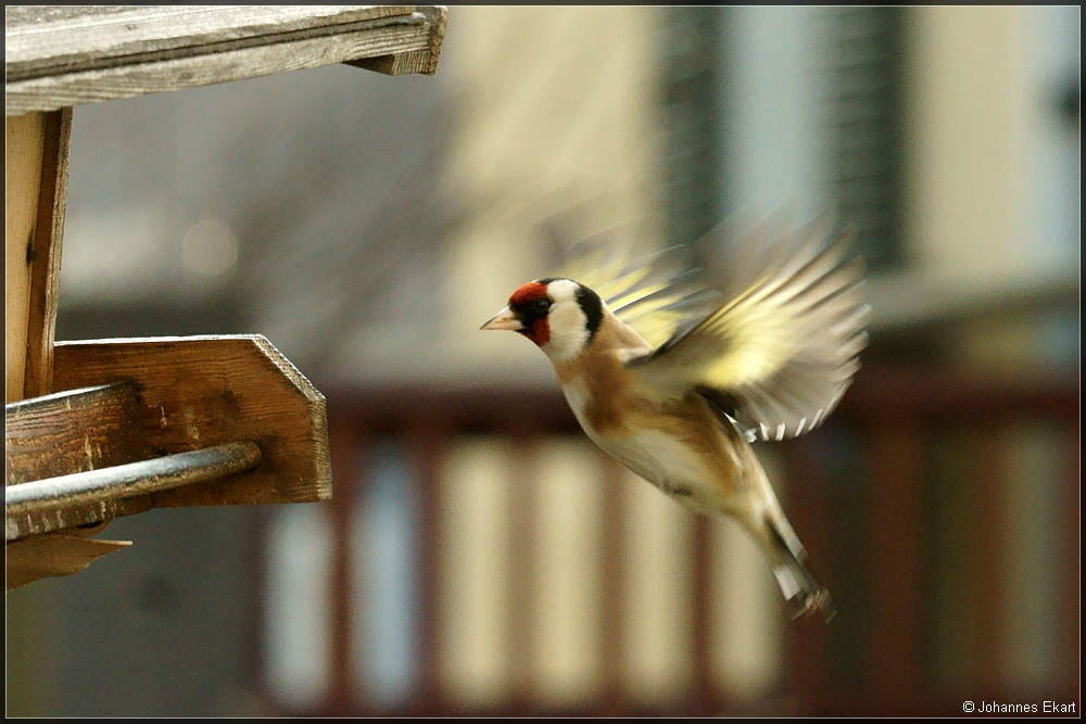 Landeanflug