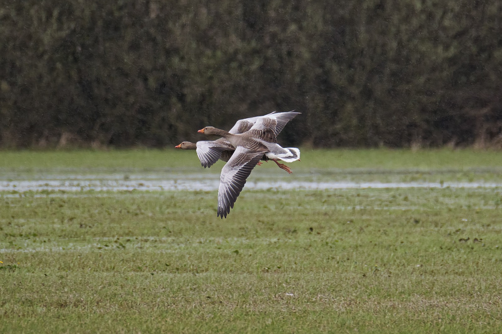 Landeanflug