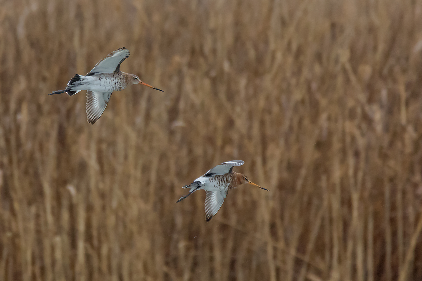 Landeanflug ...