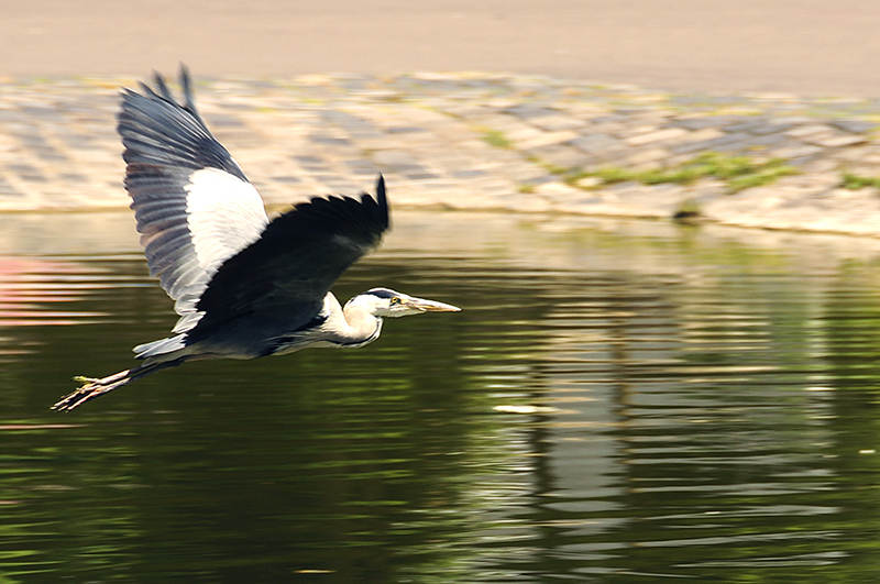 Landeanflug