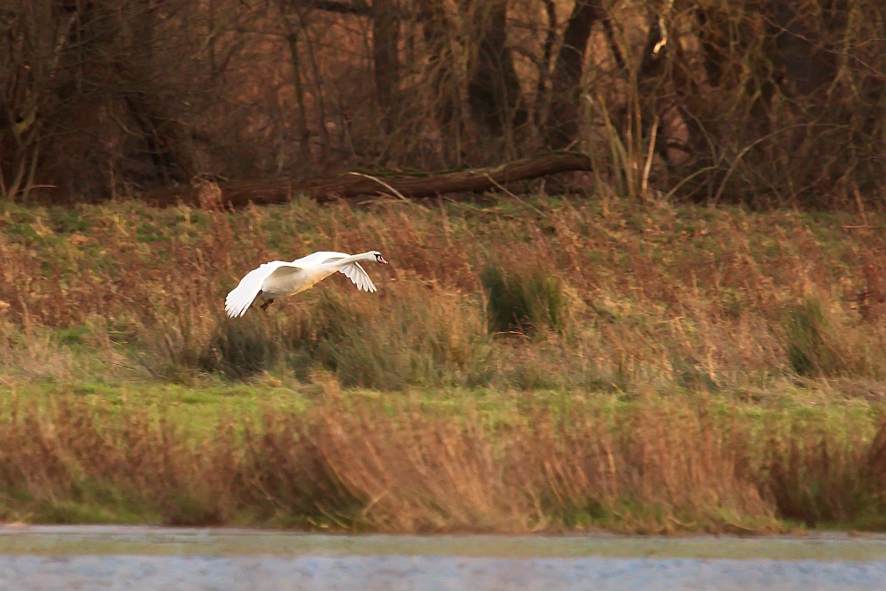 Landeanflug