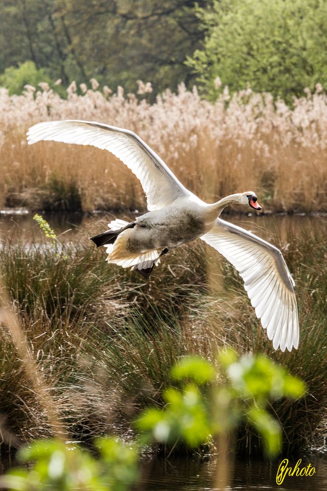 Landeanflug