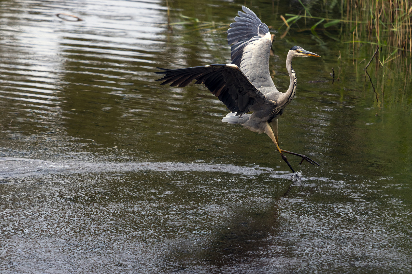 Landeanflug 