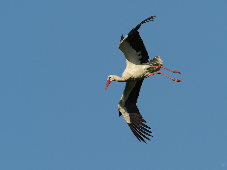 landeanflug...