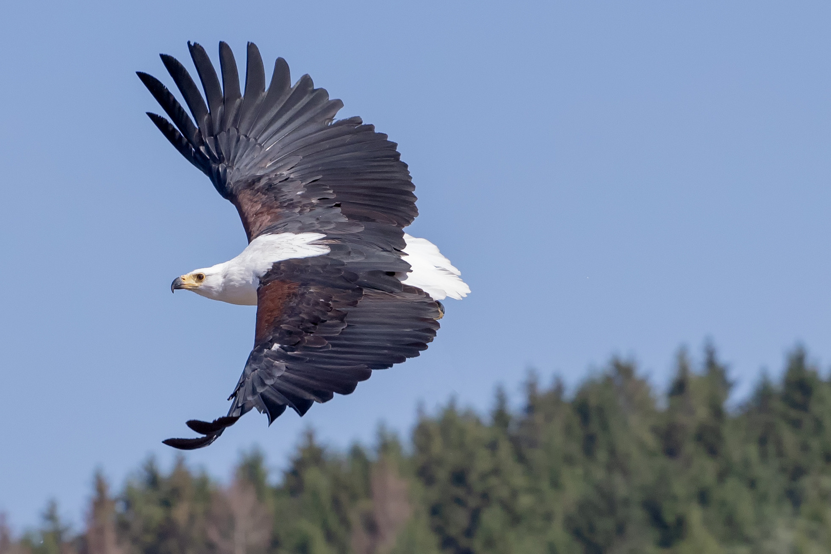 Landeanflug...