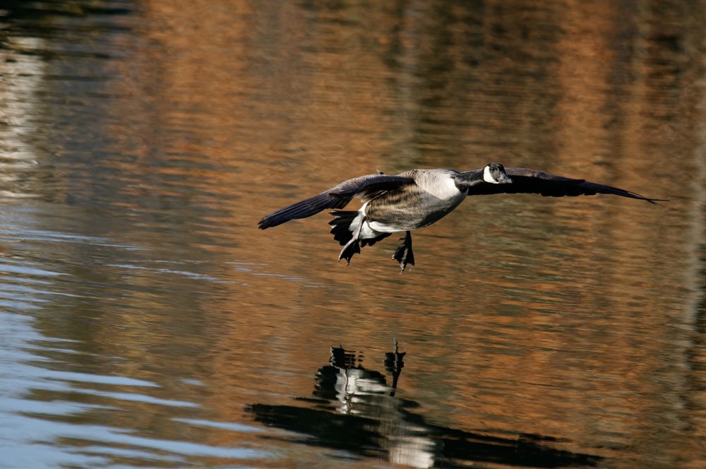 Landeanflug