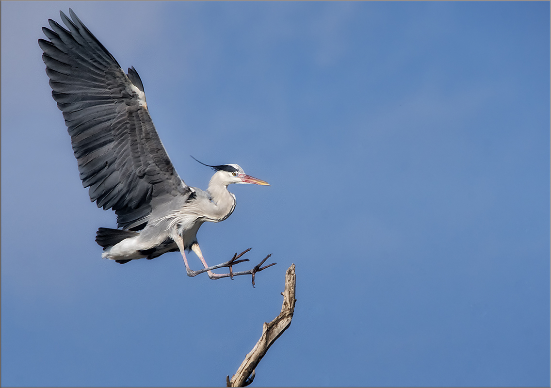 Landeanflug