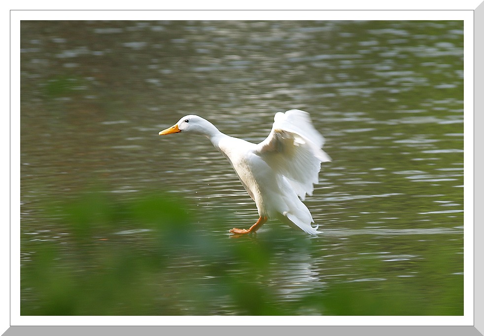 Landeanflug