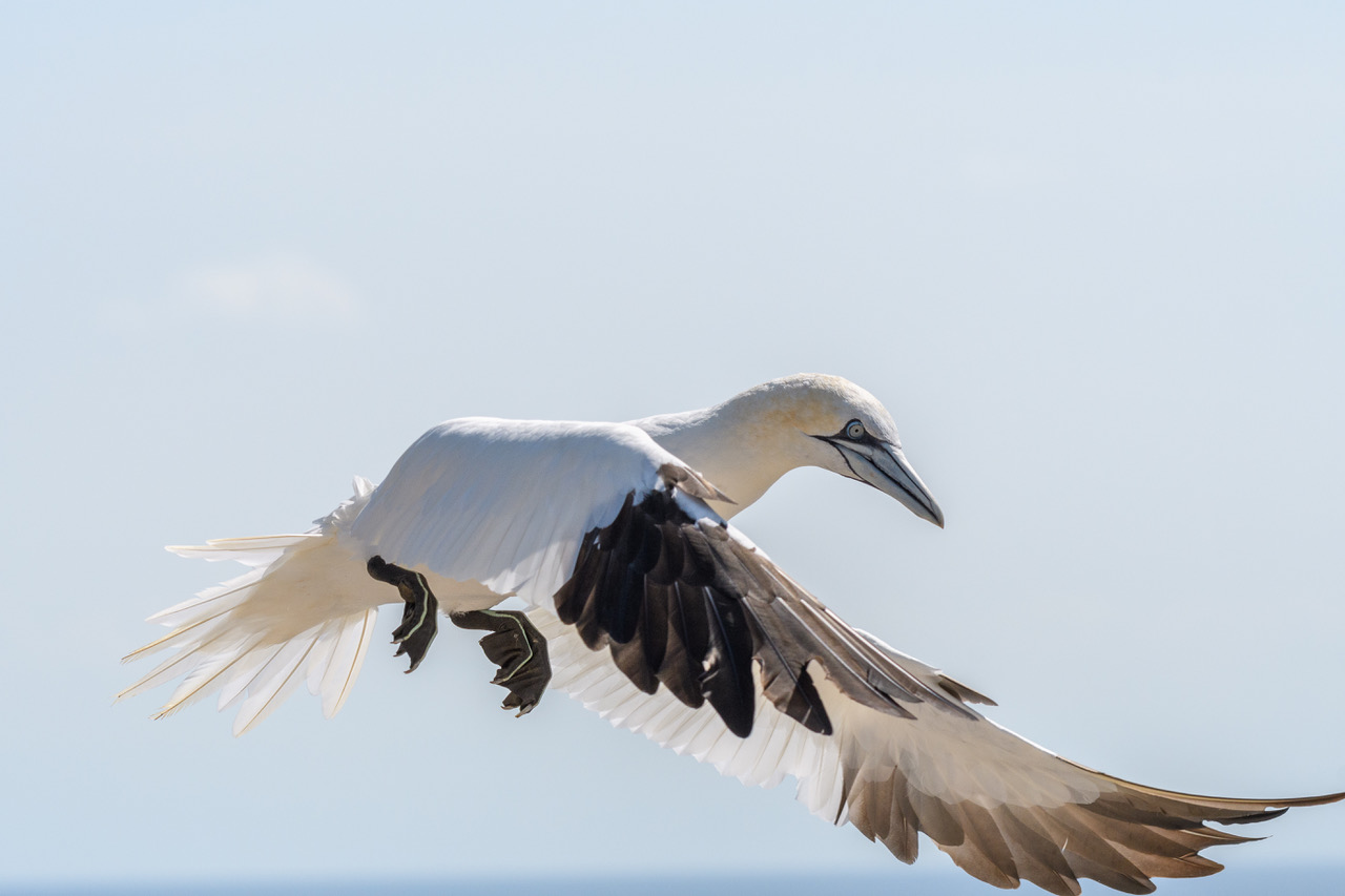 Landeanflug