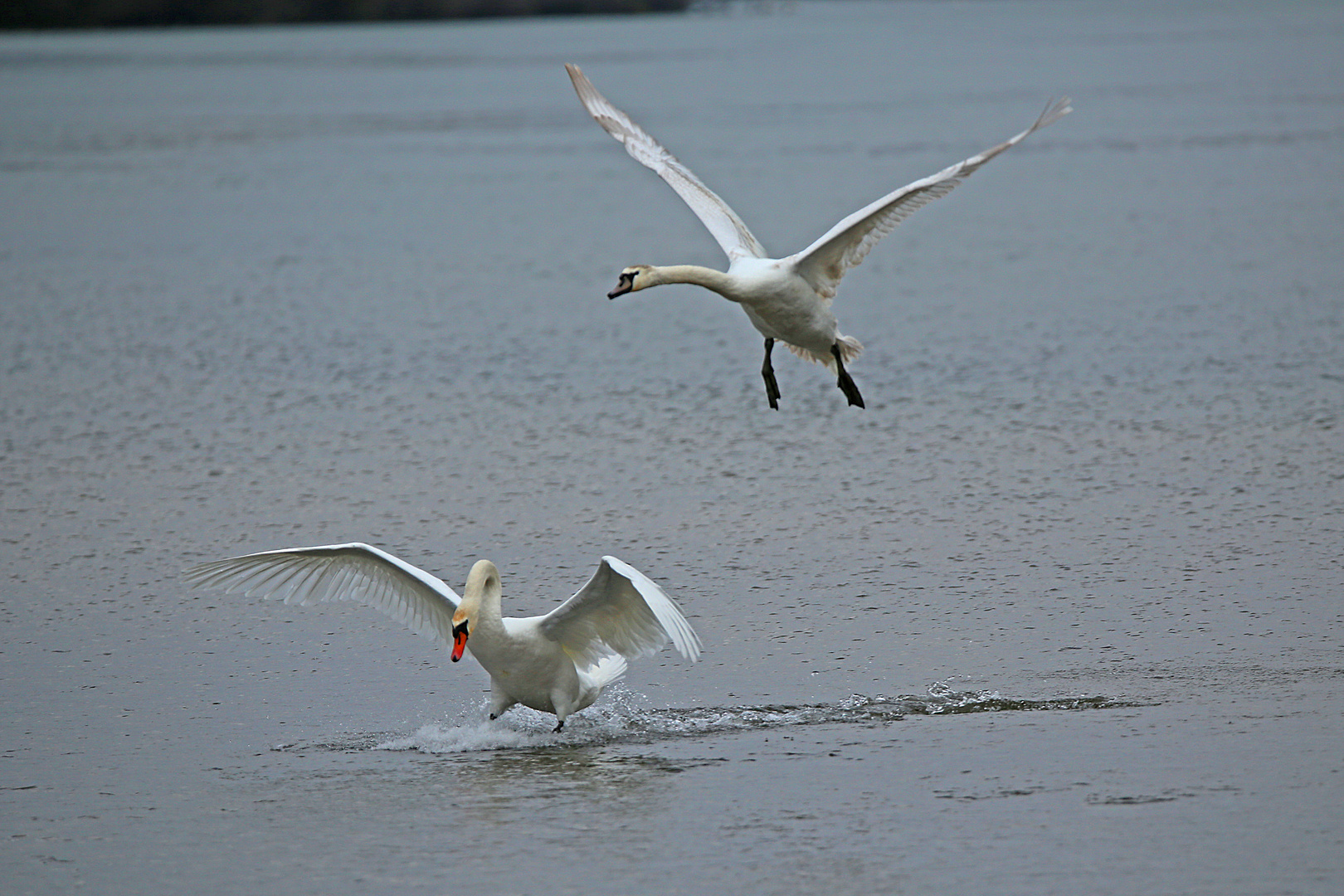 Landeanflug