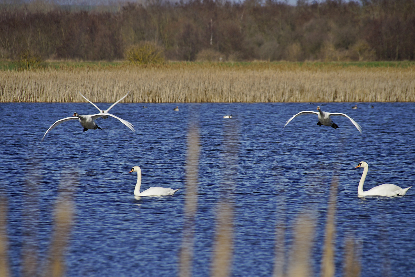 Landeanflug