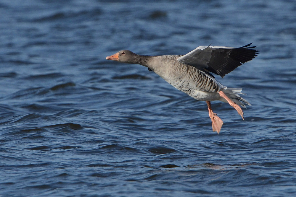 Landeanflug