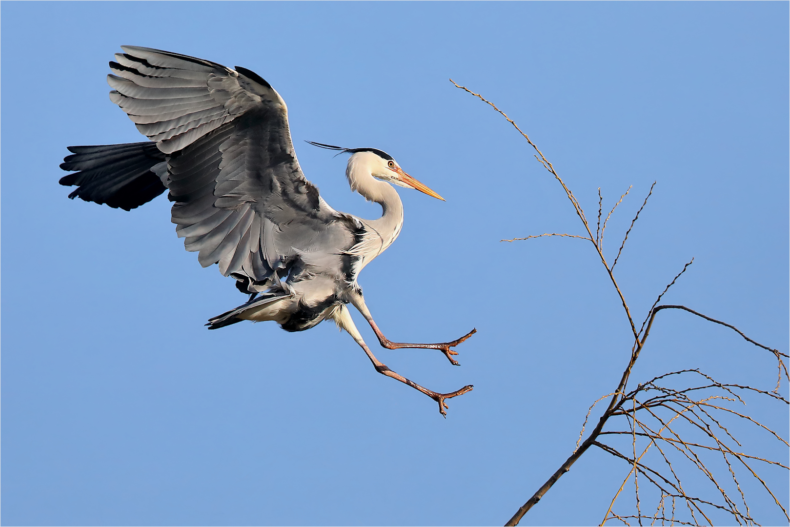 Landeanflug