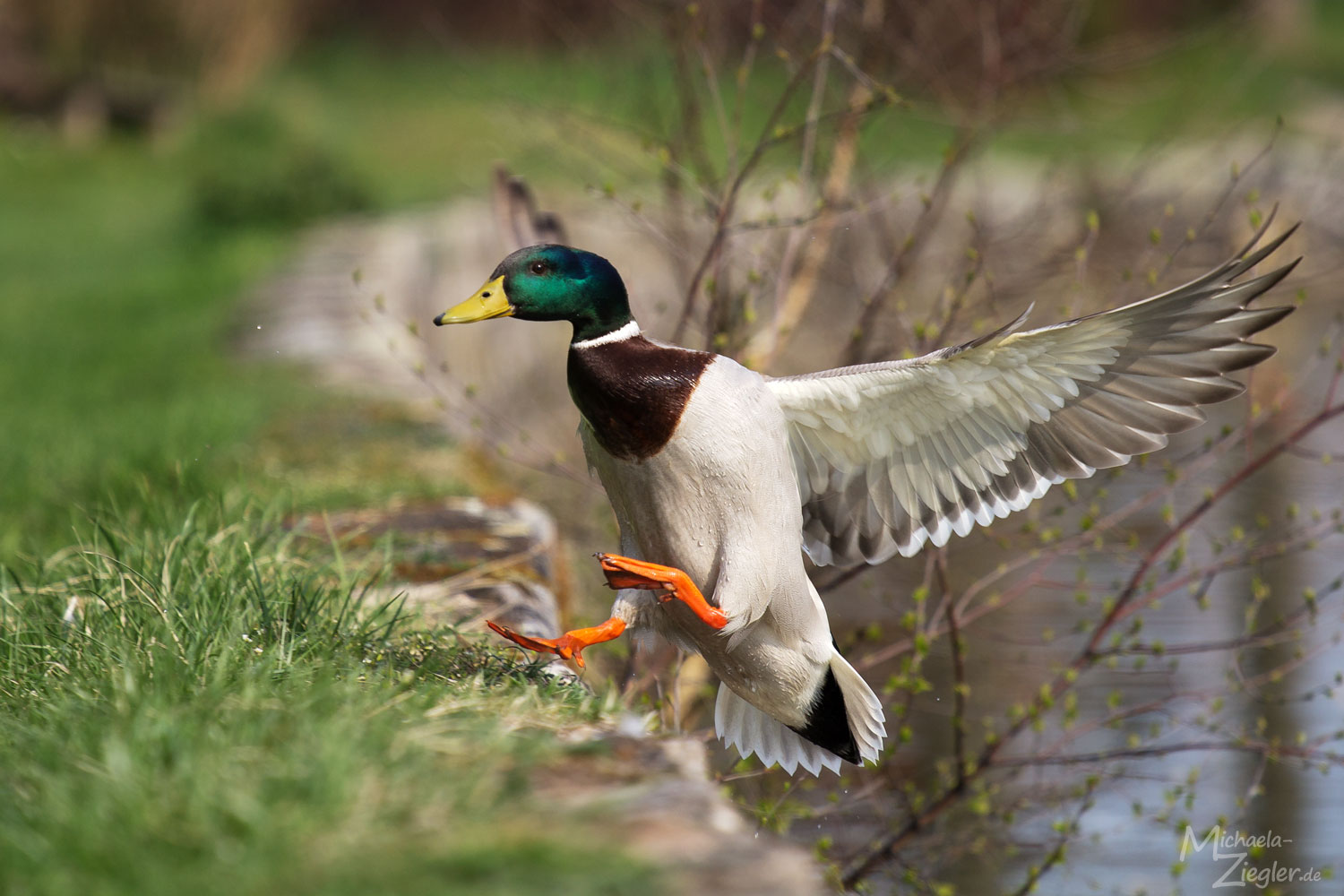 Landeanflug