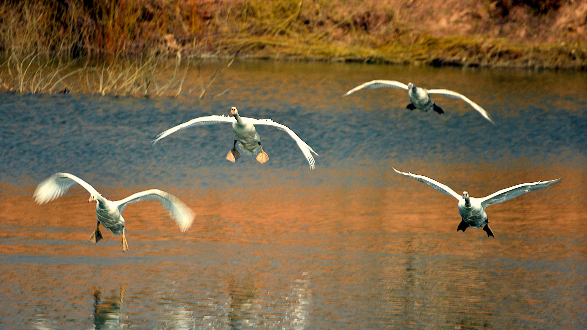 Landeanflug