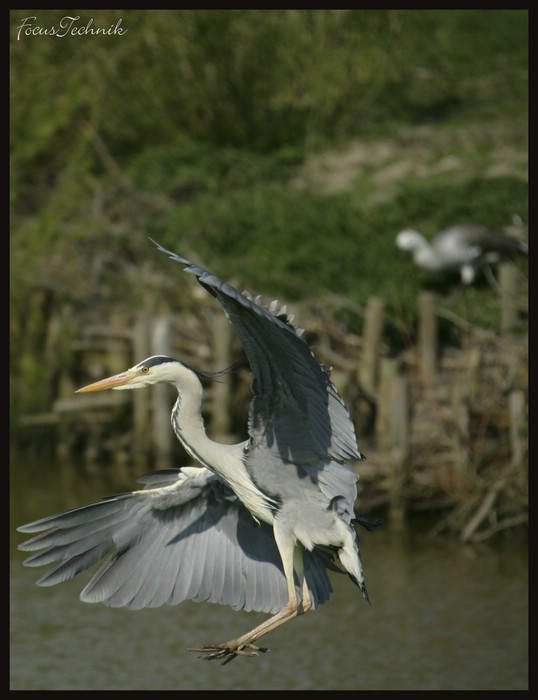 Landeanflug