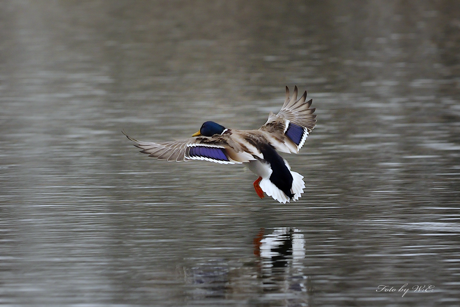 Landeanflug