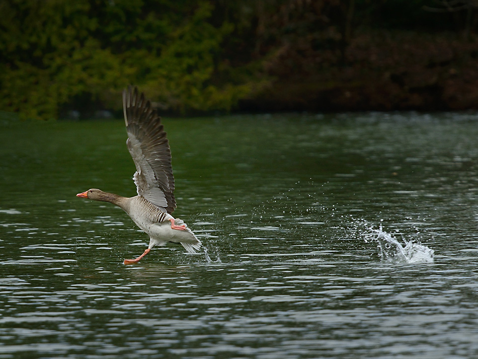 Landeanflug