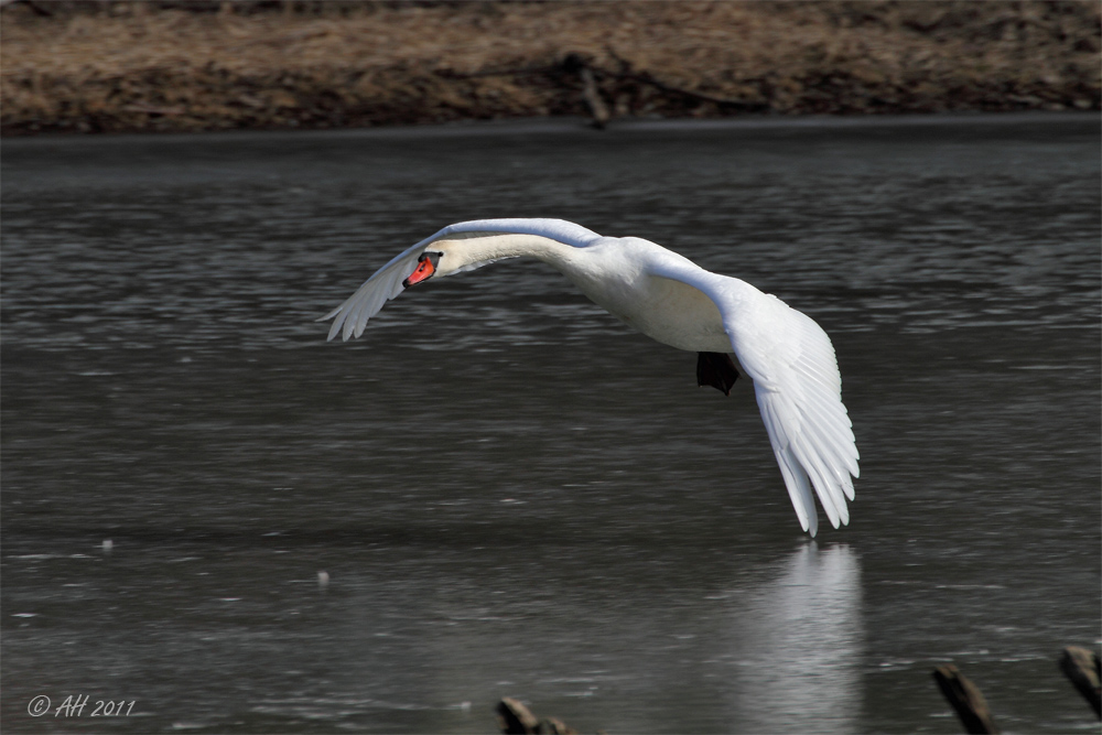 Landeanflug