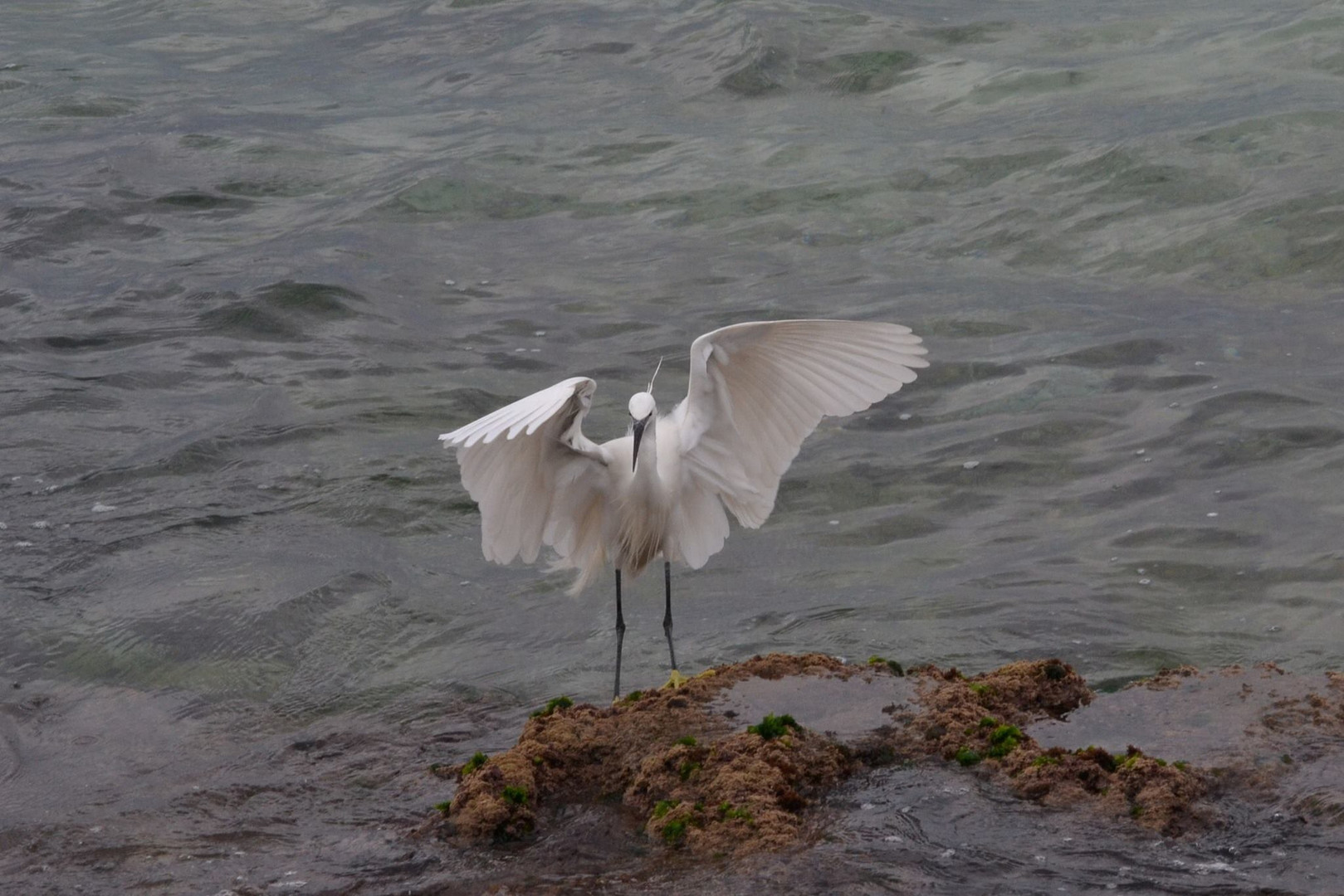 Landeanflug!