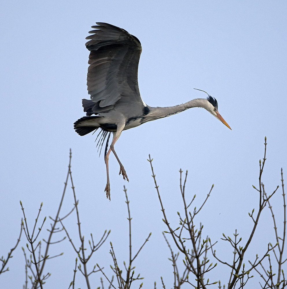 Landeanflug