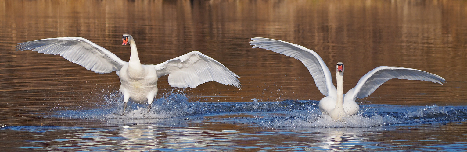 Landeanflug