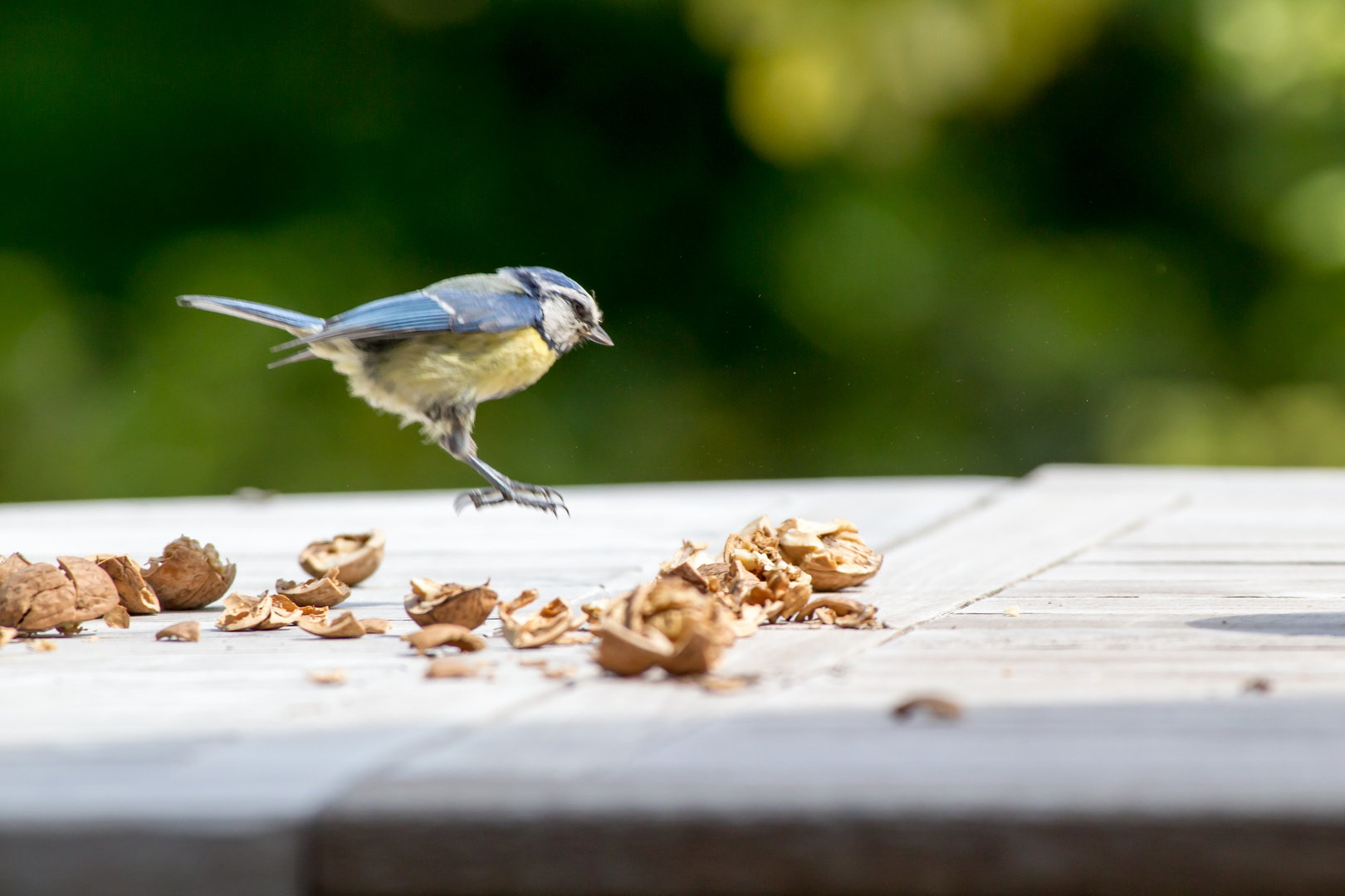 Landeanflug