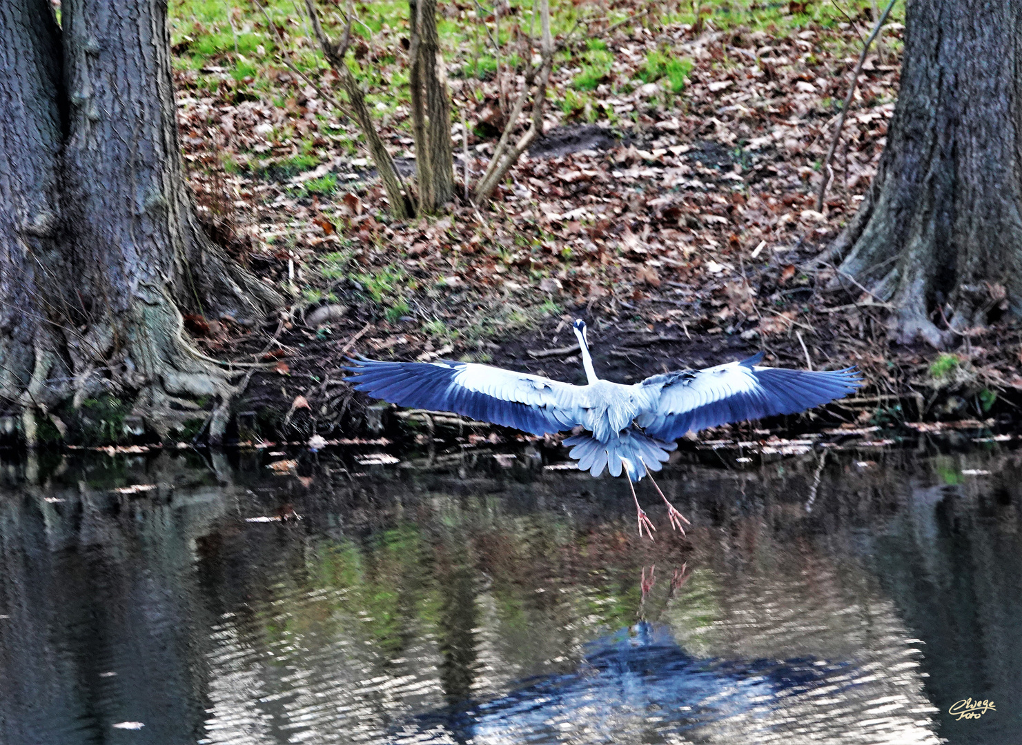 Landeanflug